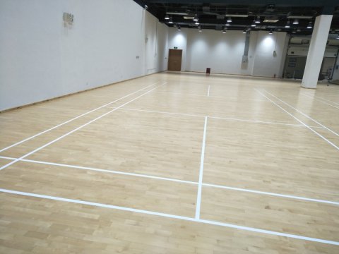 上海鋪東區寧橋路669號籃球館楓樺A級