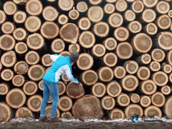 籃球場的運(yùn)動(dòng)木地板有哪些品牌2