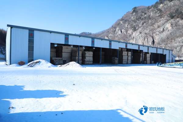 國產運動場木地板施工團隊1