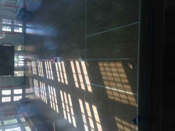 國產(chǎn)運動館木地板施工單位2