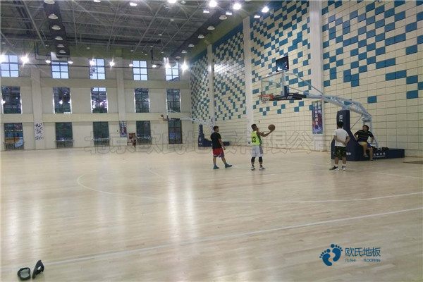 校園運動籃球木地板哪個牌子性價比高