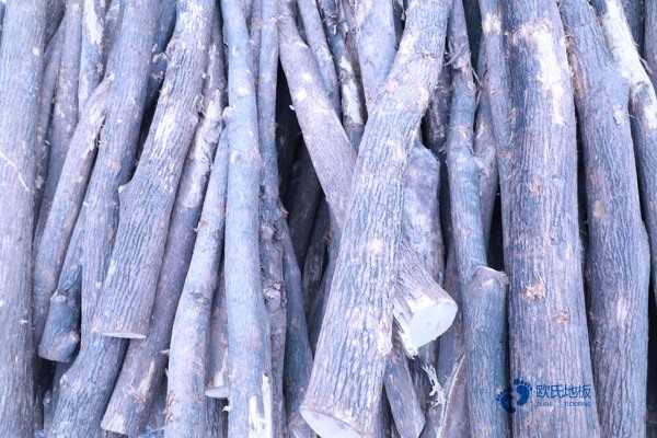 柞木運(yùn)動籃球木地板價(jià)格是多少