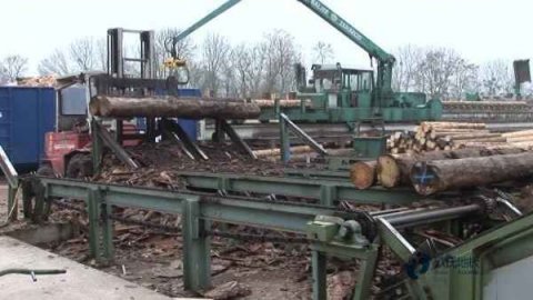 籃球場(chǎng)木地板施工廠(chǎng)家